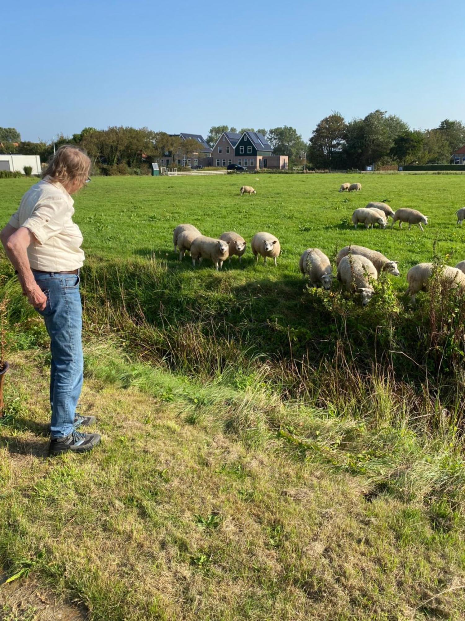 Oomes Huus Haestens And Koffie Den Hoorn  Zewnętrze zdjęcie