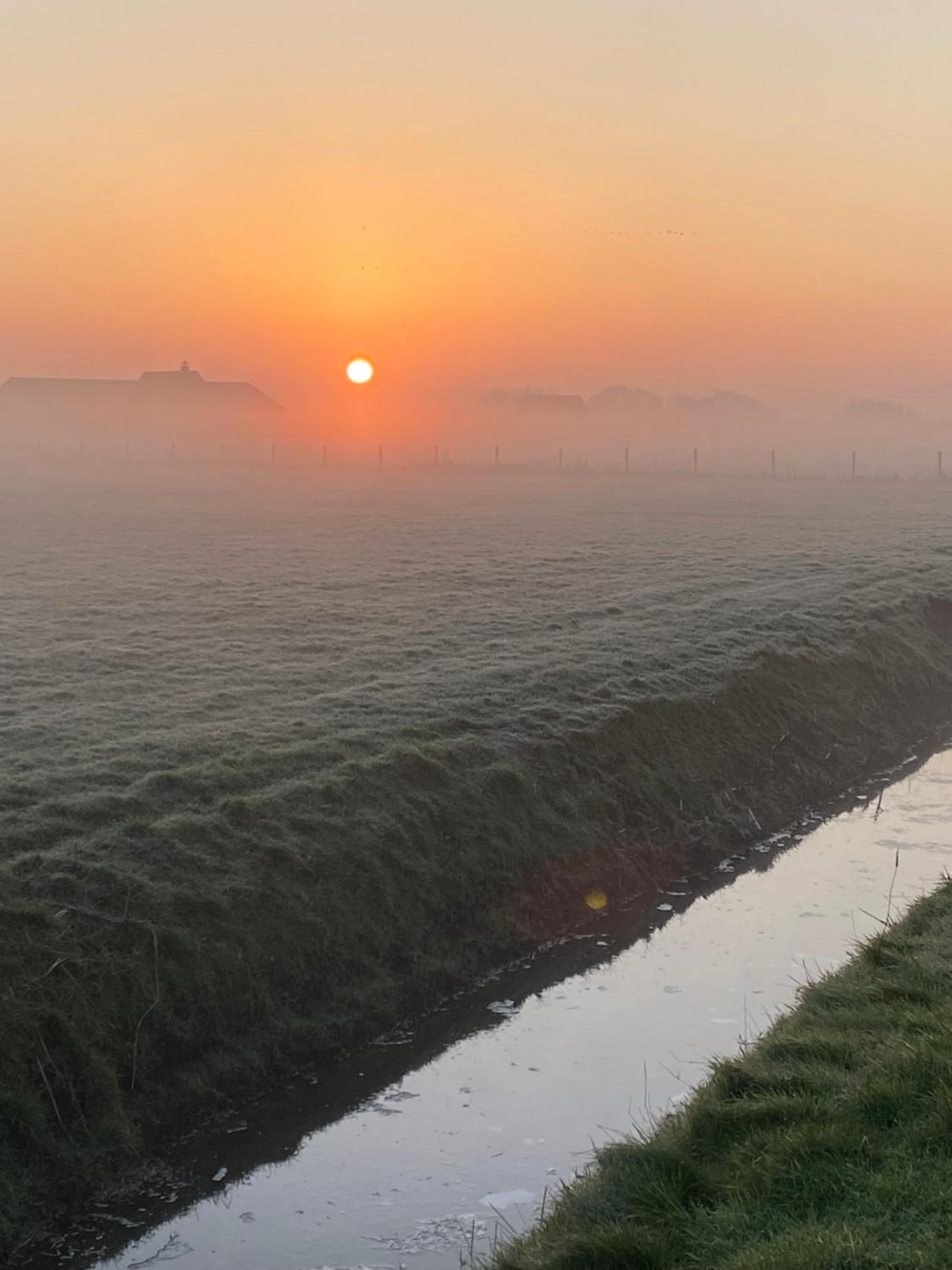 Oomes Huus Haestens And Koffie Den Hoorn  Zewnętrze zdjęcie