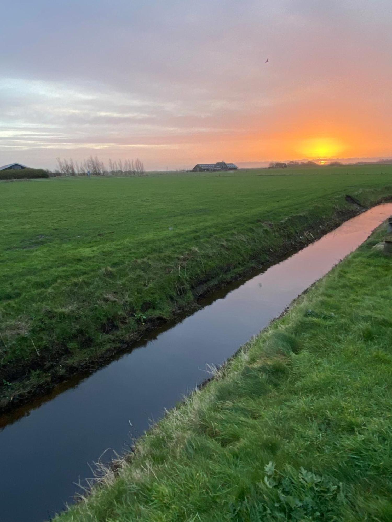 Oomes Huus Haestens And Koffie Den Hoorn  Zewnętrze zdjęcie