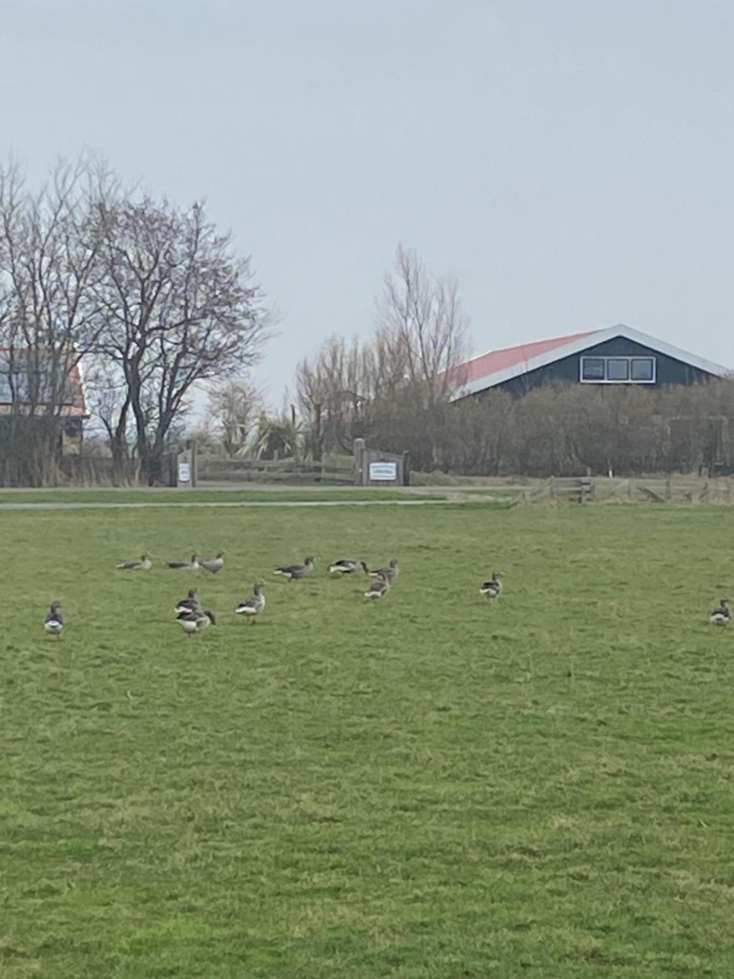 Oomes Huus Haestens And Koffie Den Hoorn  Zewnętrze zdjęcie